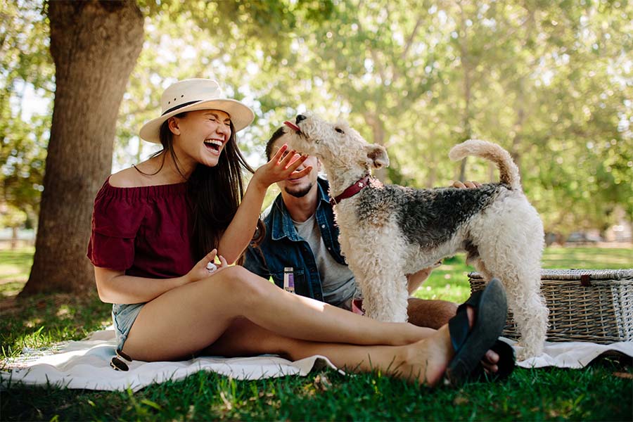 Personal Insurance - Portrait of a Young Couple Sitting on a Blanket in the Park Having Fun Playing with Their Dog